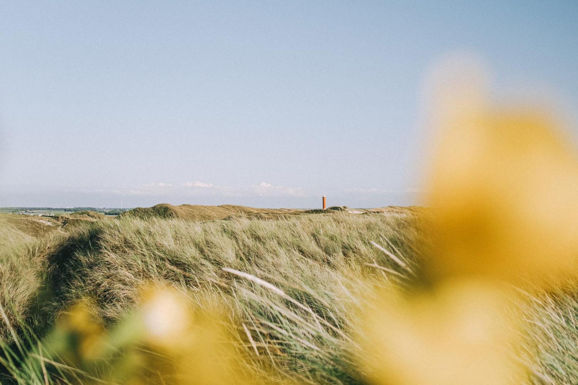 De Duintuin - In De Duinen, Groote Keeten Aan Zee Callantsoog Exterior foto